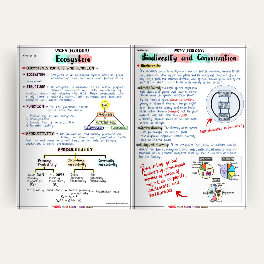 Andar ka page — Class 12 Biology handwritten notes: Ecosystem aur Biodiversity, colour-coded diagrams ke saath
