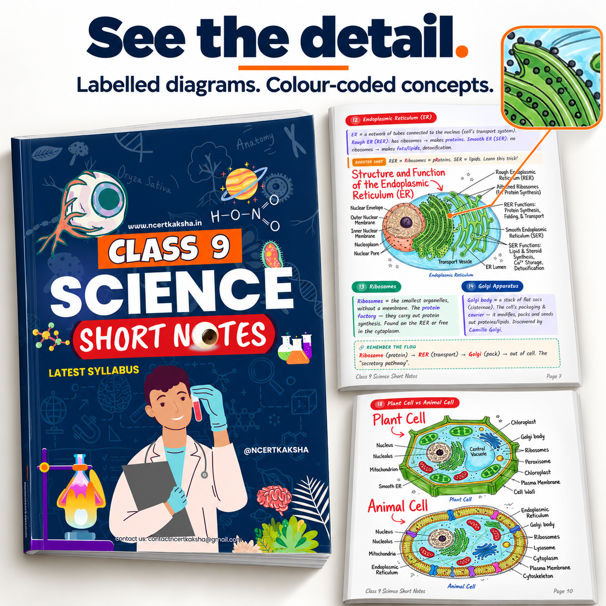 Class 9 Science Handwritten Notes 2.0 – CBSE 2026-27 | Physics, Chemistry & Biology Colour-Coded Notes (Copy)