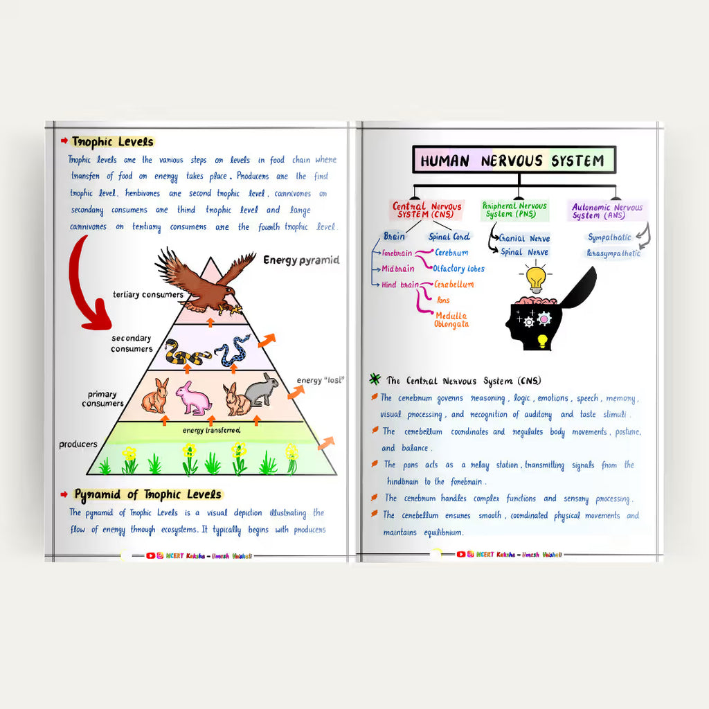 Class 10 Science Formula Sheet / Short Notes 