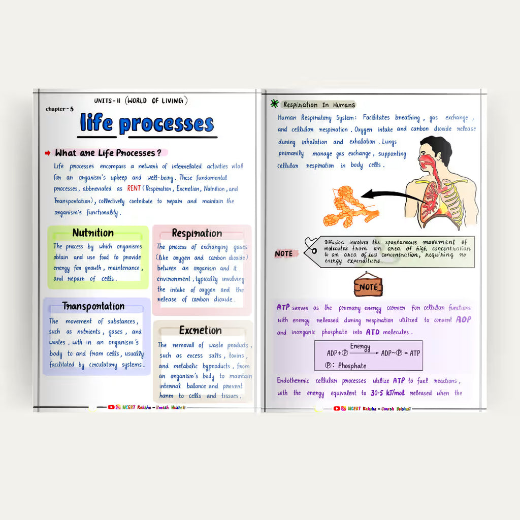 Class 10 Science short  Notes / Book / formula sheet 