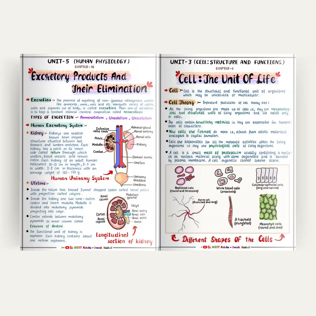Class 11 Biology Formula Sheet / Book / short notes / notes