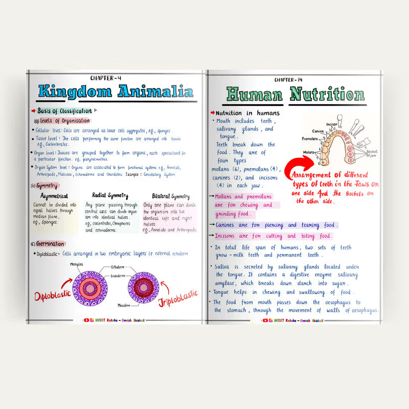 Class 11 Biology short notes colour-coded diagram page Maharashtra Board NCERT Kaksha