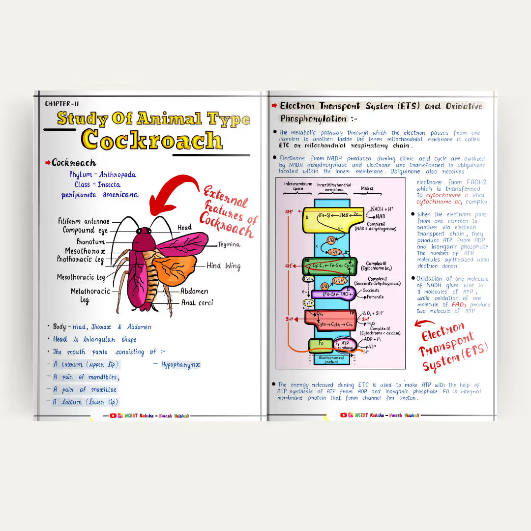Class 11 Biology short Notes/ Book / Topper Notes  Maharashtra state board 
