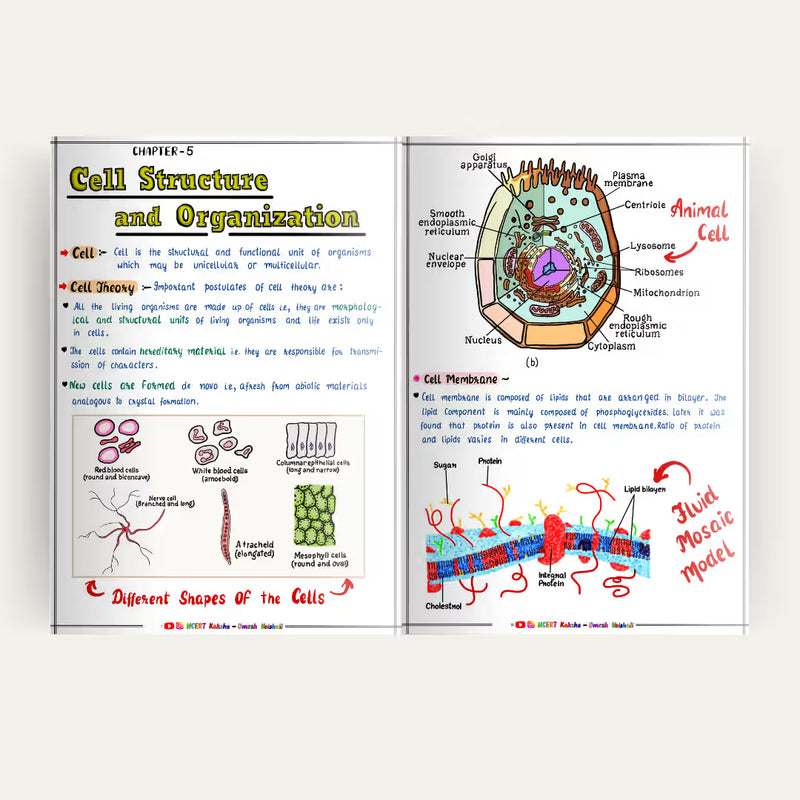 Class 11 Biology handwritten notes Maharashtra HSC NCERT Kaksha