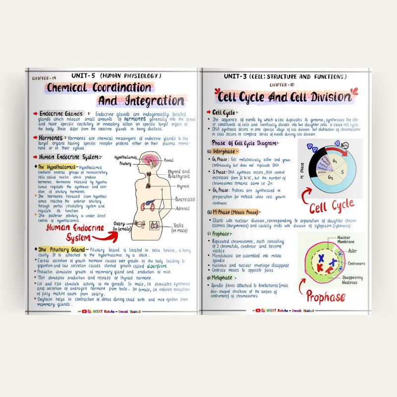 Class 11 Biology short notes colour-coded page NCERT Kaksha