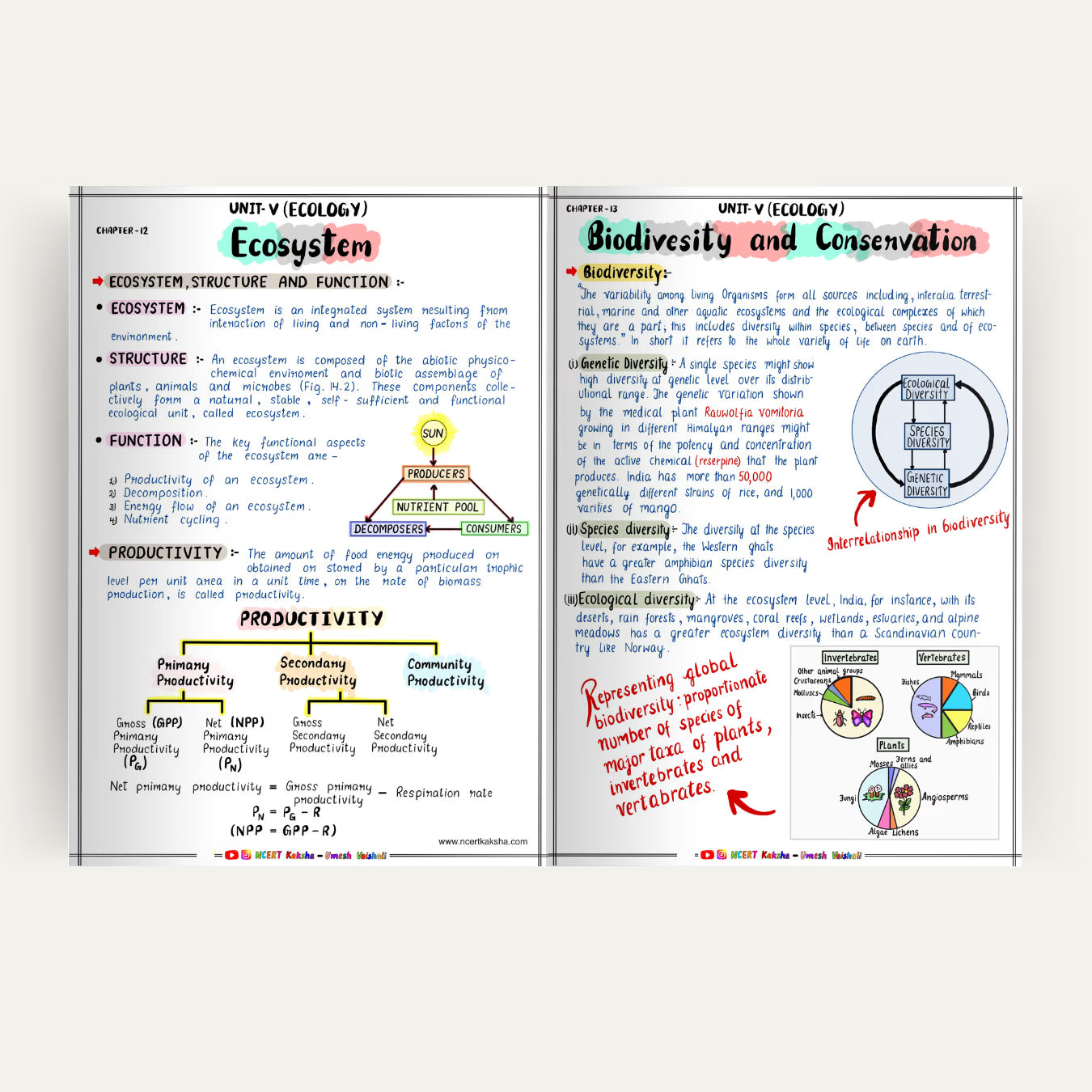 Class 12 Biology Formula Sheet
