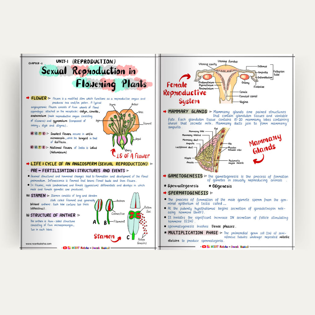Class 12 Biology Formula Sheet / Book | Class 12 Biology Topper's Notes