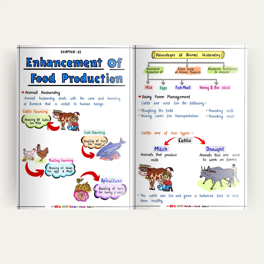 Class 12 Biology  Formula Sheet / Book / short notes / Topper NOtes  Maharashtra state board 