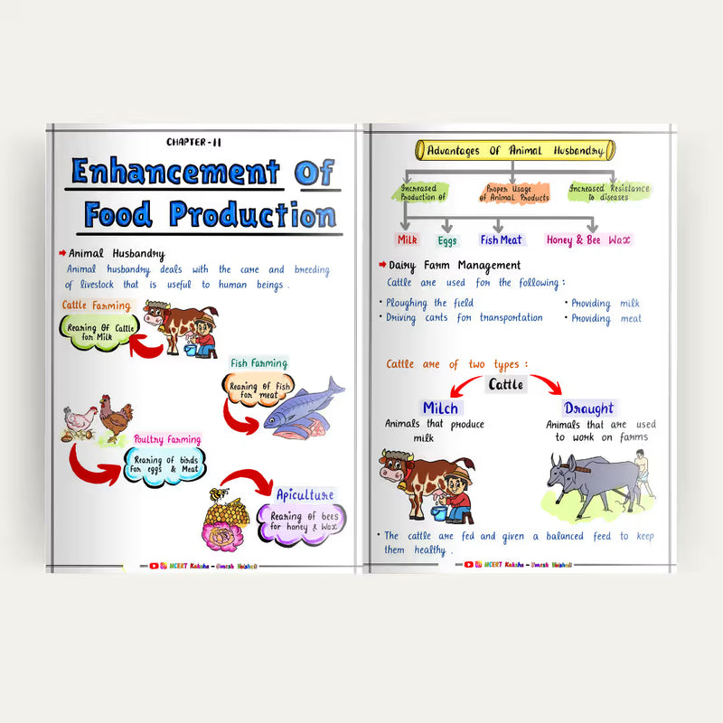 Class 12 Biology short notes colour-coded diagram page Maharashtra Board NCERT Kaksha