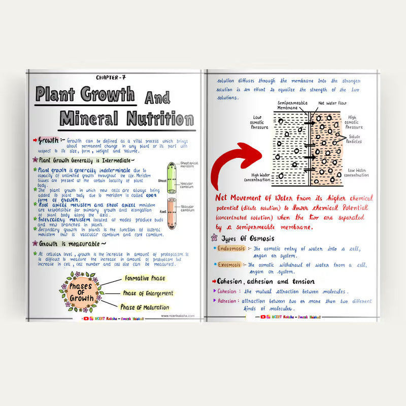Class 12 Biology handwritten notes Maharashtra HSC NCERT Kaksha