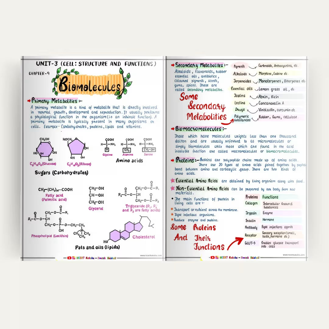 Kota NEET Biology Formula Sheet Notes Topper
