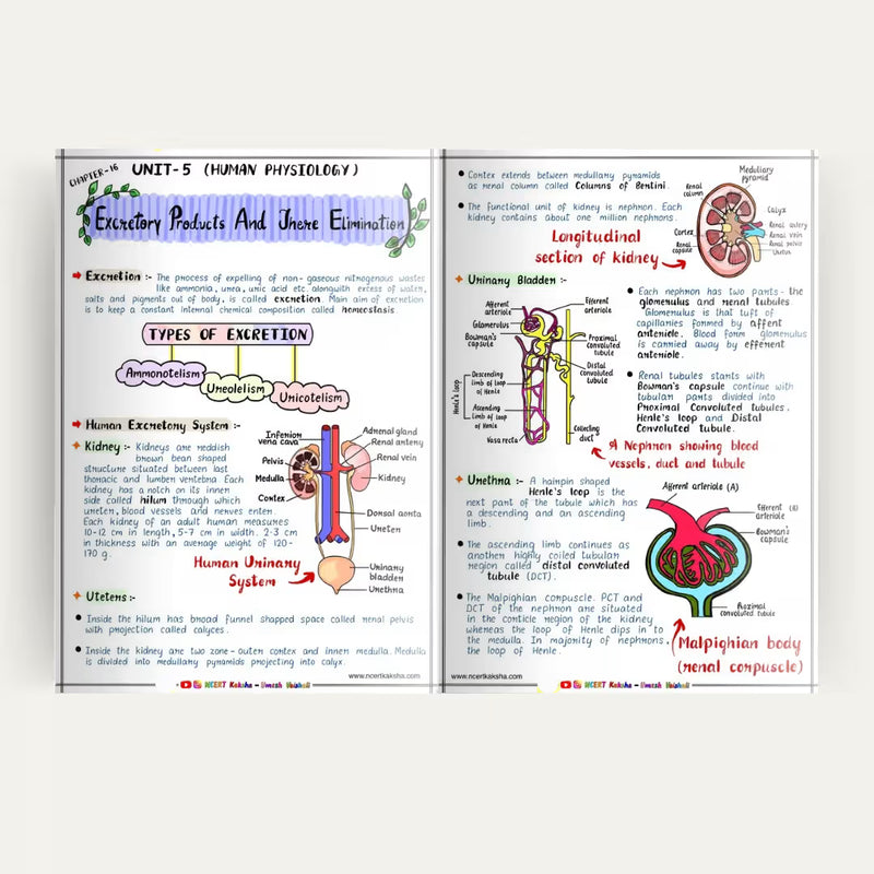 NEET Biology short notes colour-coded diagram page NCERT Kaksha