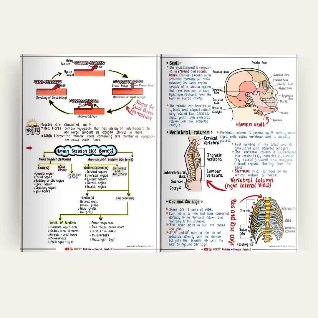NEET Biology Formula Sheet Notes Topper