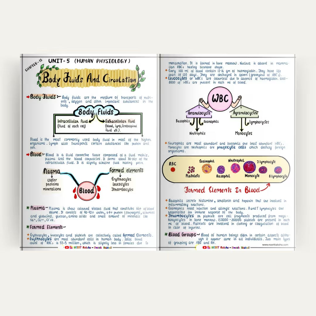 Quick Revision Short Notes for NEET Exam Preparation