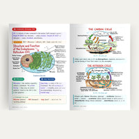 Class 9 Science Handwritten Notes 2.0 – CBSE 2026-27 | Physics, Chemistry & Biology Colour-Coded Notes