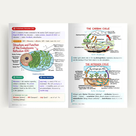 Class 9 Science Handwritten Notes 2.0 – CBSE 2026-27 | Physics, Chemistry & Biology Colour-Coded Notes